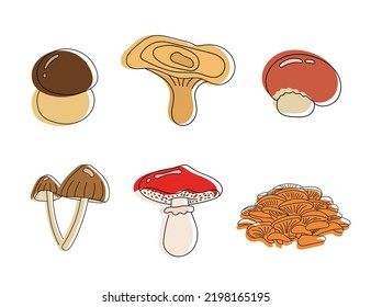 Set of different mushrooms. Collection of cute forest mushrooms