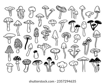 Set of different mushrooms. Collection of stylized edible or psychedelic mushrooms. Vector illustration on white background. Linear Art. Tattoo.