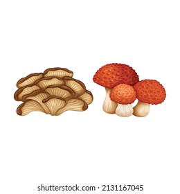 Set of different mushrooms logo design
