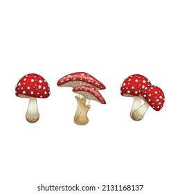 Set of different mushrooms logo design
