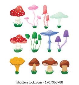 Set of different mushrooms on a white background, vector illustration