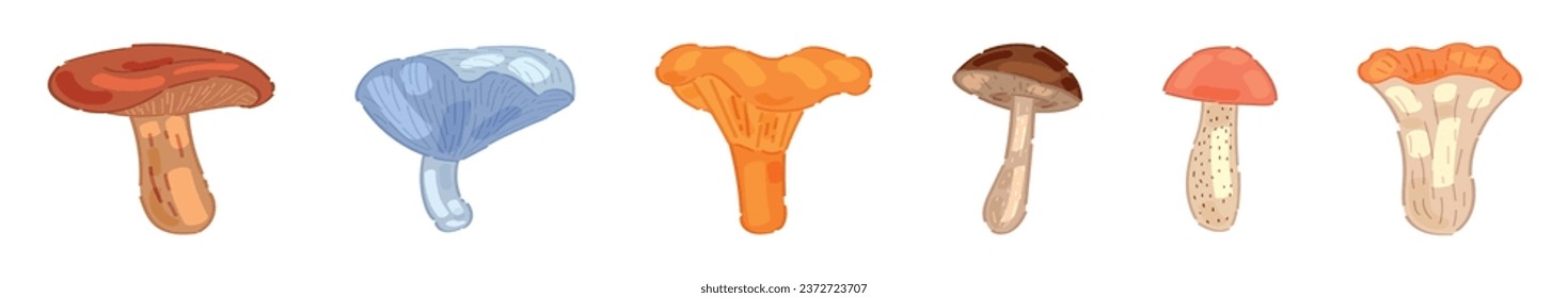Set of different mushrooms on white background