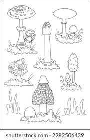 Set of different mushrooms outlined in black and white,  poisonous mushrooms, contours of different forms of mushrooms, silhouettes of mushrooms.