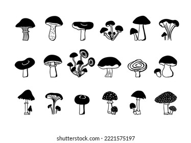 Conjunto de hongos diferentes. Ilustración del vector