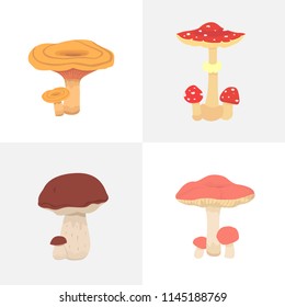 Set Different mushrooms vector isolated illustration.