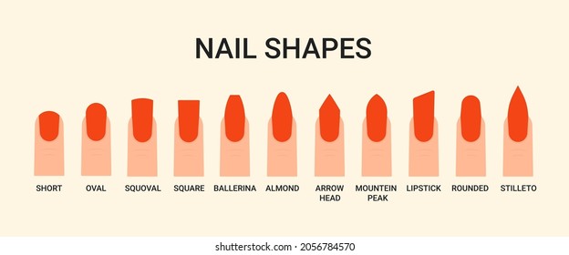 371 Oval Nail Symbol Images, Stock Photos & Vectors | Shutterstock