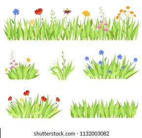 Set Of Different Natural Garden Flowers In The Grass. Fresh Garden Flower Beds On A White Background. Vector Modern Illustration