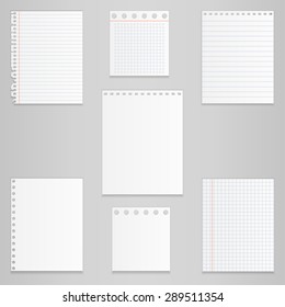 Set of different notebook paper, vector