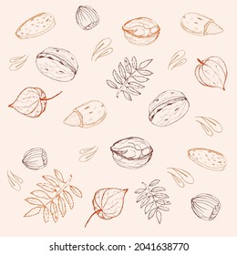 Set of different nuts, leaves and physalis