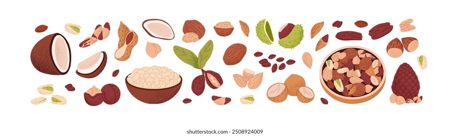 Conjunto de diferentes tuercas. Cacahuete, nuez, anacardo, almendra, avellana. Cuenco con mezcla de granos, semillas. Comida saludable, bocadillo crujiente natural, superalimento. Ilustraciones vectoriales aisladas planas sobre fondo blanco