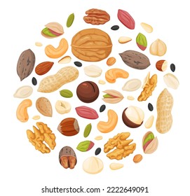 Un conjunto de nueces y semillas diferentes. Alimentos saludables y orgánicos. Ilustración del vector