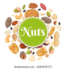 A set of different nuts and seeds. Healthy and organic food. Vector illustration