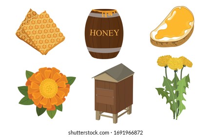 Set of different objects and stages of honey production vector illustration