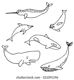 Set of different ocean mammals: blue whale, dolphin, killer whale, fur-seal, narwhal, cachalot. Hand drawing. Vector.