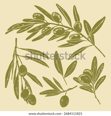 Set of different olive branches with grunge texture. Monochrome linear woodcut illustration.	