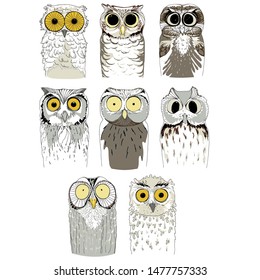 Set of different owls. Cute and funny vector birds on a white background.