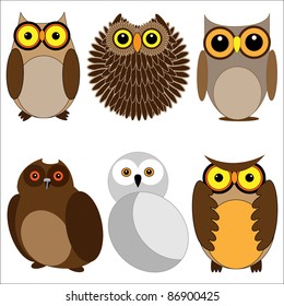 Set of different owls. Vector illustration