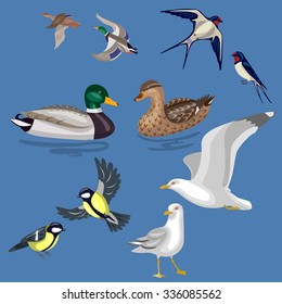 Set of different pairs of wild birds isolated on blue background. Simplified images of waterfowl and migratory songbirds.