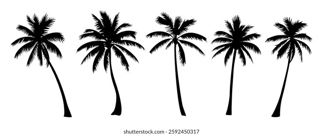 Set of different palm tree black silhouettes. Hand drawn vector illustrations isolated on white background