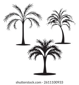 Set of different palm tree black silhouettes. Hand drawn vector illustrations isolated on white background