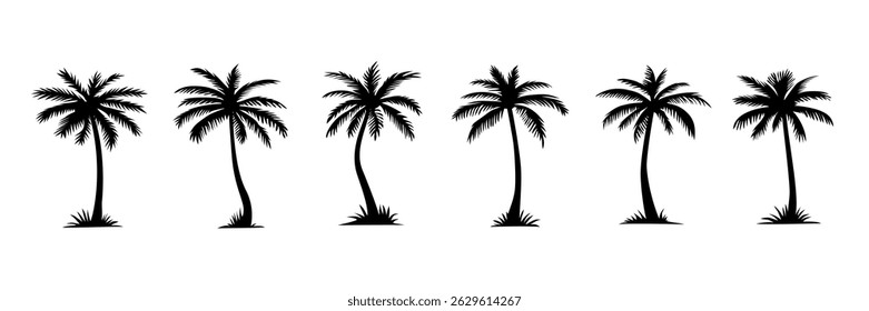 Set of different palm tree black silhouettes. Hand drawn vector illustrations isolated on white background