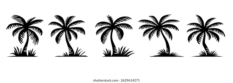 Set of different palm tree black silhouettes. Hand drawn vector illustrations isolated on white background