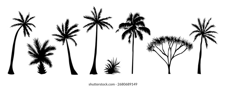 Conjunto de diferentes silhuetas pretas da palmeira. Ilustrações vetoriais desenhadas à mão isoladas sobre fundo branco