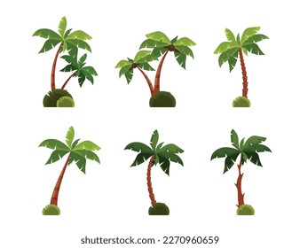 Set of different palm trees in cartoon style. Vector illustration of beautiful green palm trees with coconuts isolated on white background. Tropical coconut trees. svg