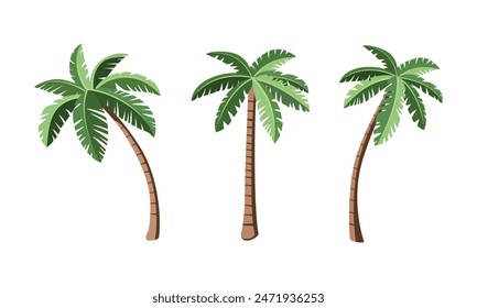 Set of different palm trees in cartoon style. Vector illustration of beautiful green palm trees. Isolated on white background. Tropical coconut trees.