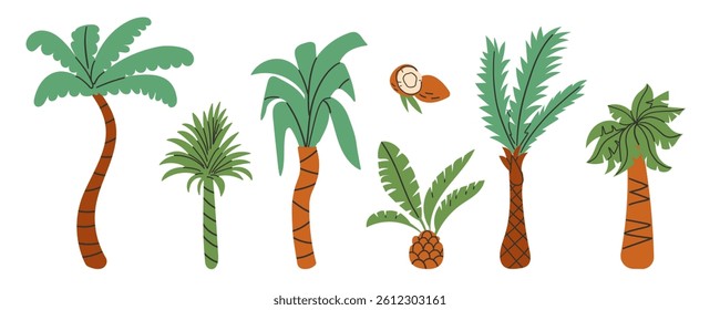 Set of different palm trees in cartoon style. Vector illustration of beautiful green palm trees. Isolated on white background. Tropical coconut trees. Hand drawn flat style illustration .