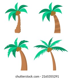 Set of different palm trees with coconuts. Isolated on white background. Vector illustration.