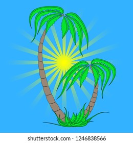 set of different palm trees on a blue sky sunrise background