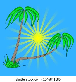 set of different palm trees on a blue sky sunrise background