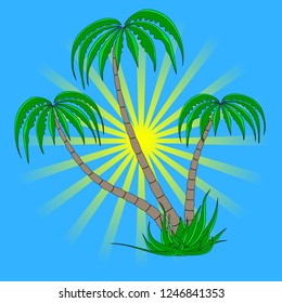 set of different palm trees on a blue sky sunrise background