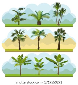 Conjunto de palmeras diferentes. Colección de diversos tipos y formas de plantas tropicales. Concepto de fondo vectorial ecológico. Ilustración vectorial.