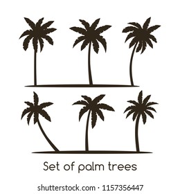 Un conjunto de palmeras diferentes. silueta de una plantilla para la decoración. ilustración vectorial plana aislada en fondo blanco