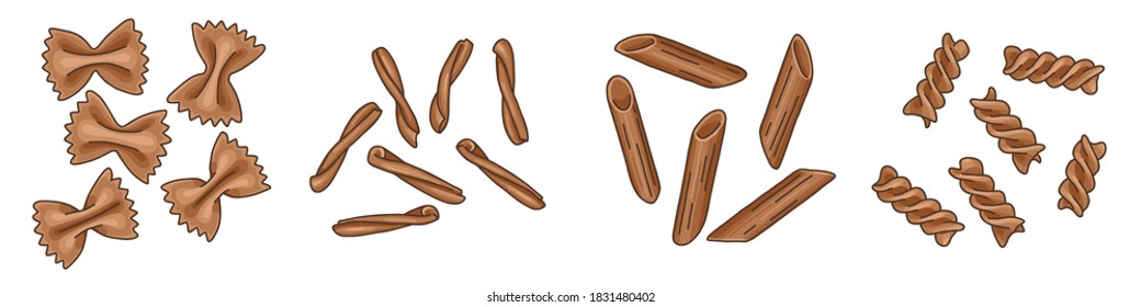 Set of different pasta types: farfalle, casarecce, fusilli, and penne. Illustration of Italian cuisine staples. Uncooked pasta isolated on white background. Vector illustration of whole-wheat pasta.