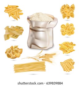 Set of different Pasta Variety type, assortment of spaghetti shells, wheat, flour, realistic icons collection, isolated on white background.