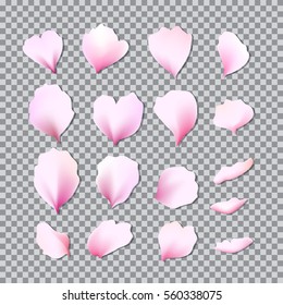 Set of different pastel pink flower petals. Vector illustration for your graphic design.