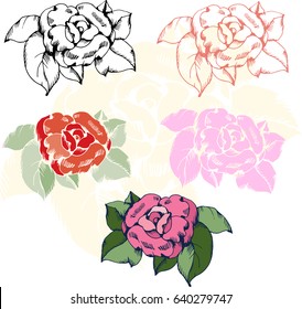 Set with different peonies. Ink, silhouette, colorful peonies. Flowers for card, wedding, scrapbooking design. Vector ink illustration.
