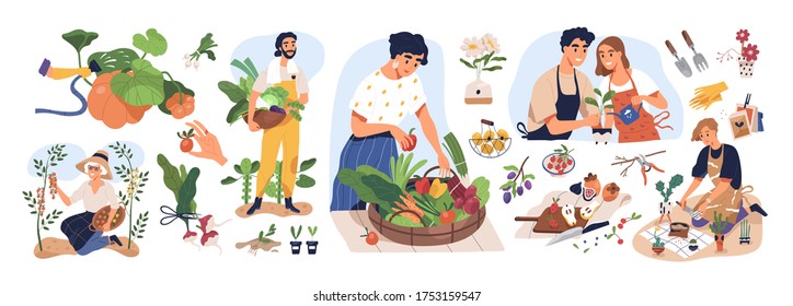 Set of different people enjoy gardening and planting vector flat illustration. Man and woman with fresh vegetables and fruits isolated on white. Farmers and gardeners doing job or agricultural hobby