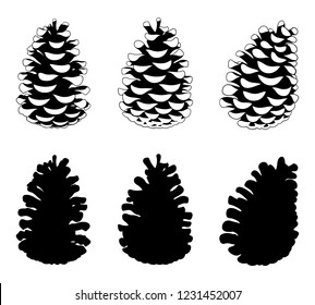 Set of different pine cones isolated on white