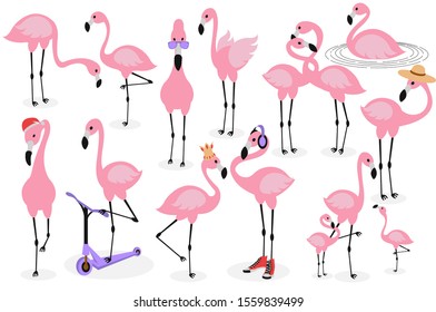 Set Of Different Pink Flamingo Vector. Flamingo Illustration.
