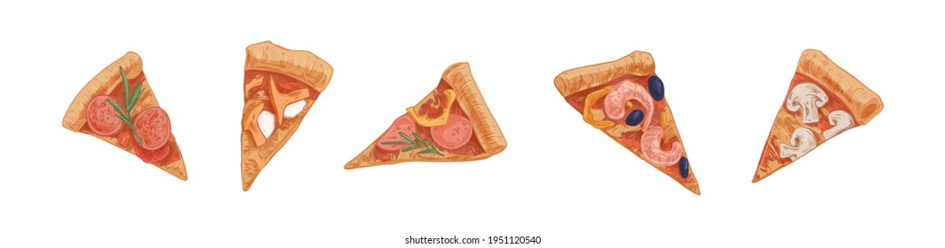 Set of different pizza slices or pieces with pepperoni, salami, mushrooms, champignons, mozzarella and shrimps. Italian food segments with thick crust. Colored hand-drawn vector illustration