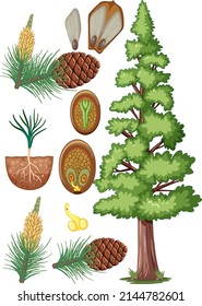Set of different plant cells illustration