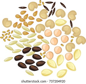 Set of different plant seeds on white background