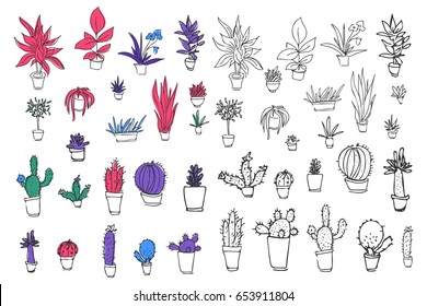 Set of different plants, cactus. Hand drawn vector  illustration. 