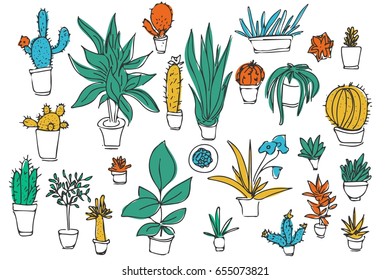 Set of different plants, cactus. Hand drawn vector  illustration. 