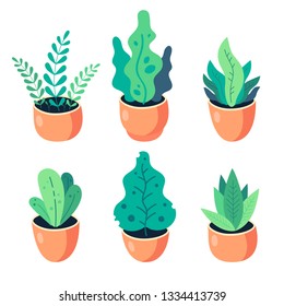 Set of different plants in flat style. Vector collection of houseplants. Home plants in clay pots. Flat vector illustration.