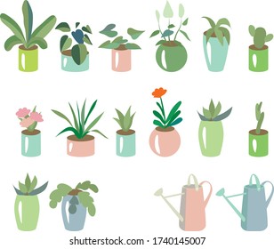Set with different plants growing at home